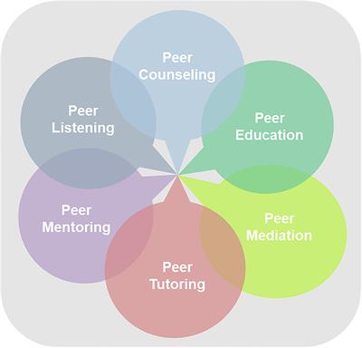Peer Counseling: Method, Metaphor, or Mindset?